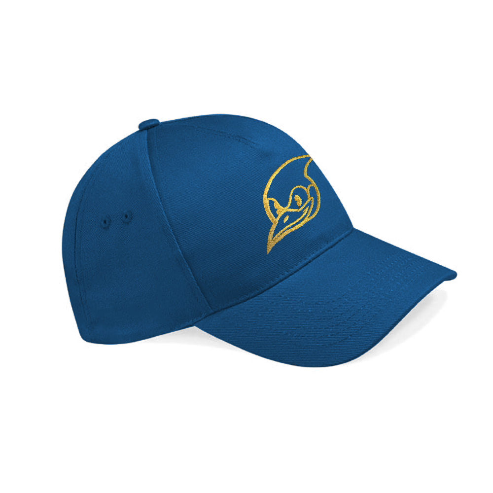 Gold Embroidered SB737 Cap