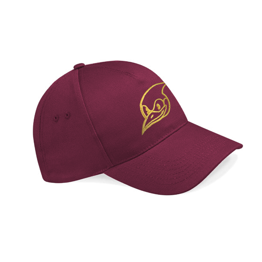 Gold Embroidered SB737 Cap