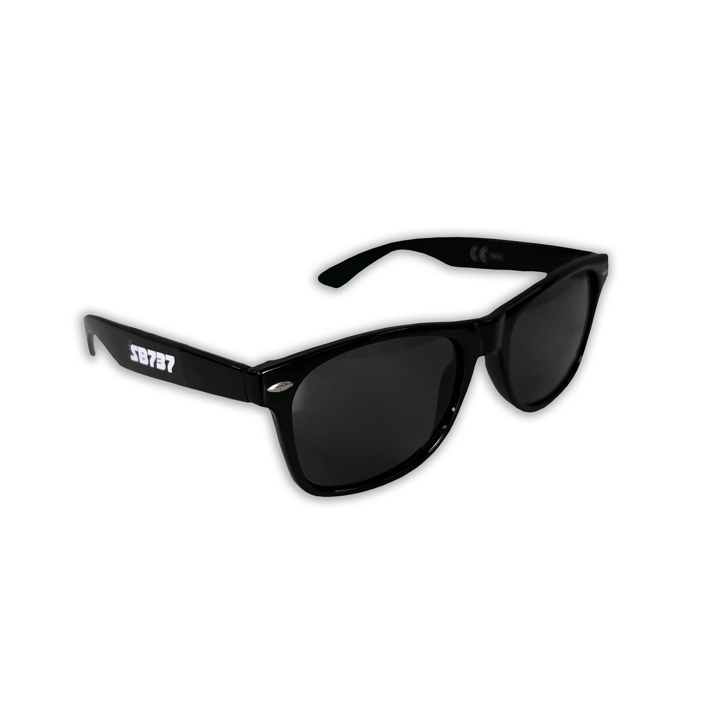 SB737 Sunbeam Logo Sunglasses