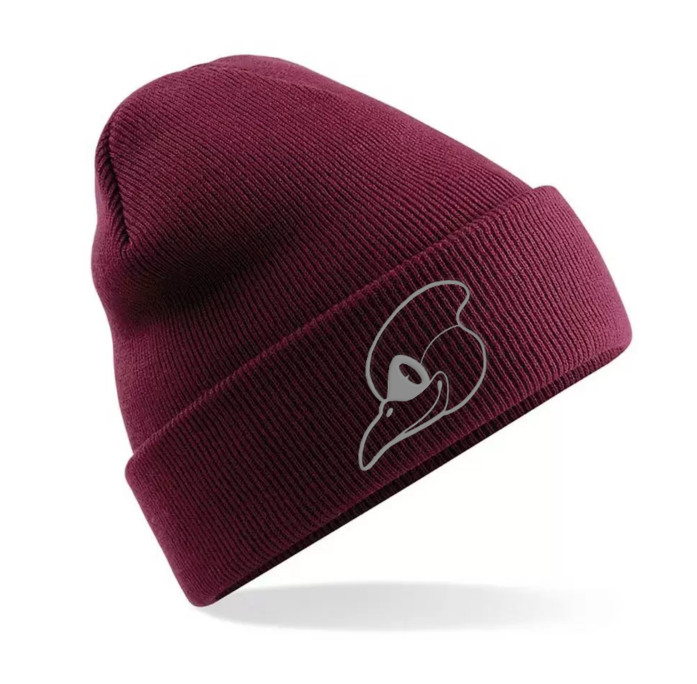 SB737 Beanie