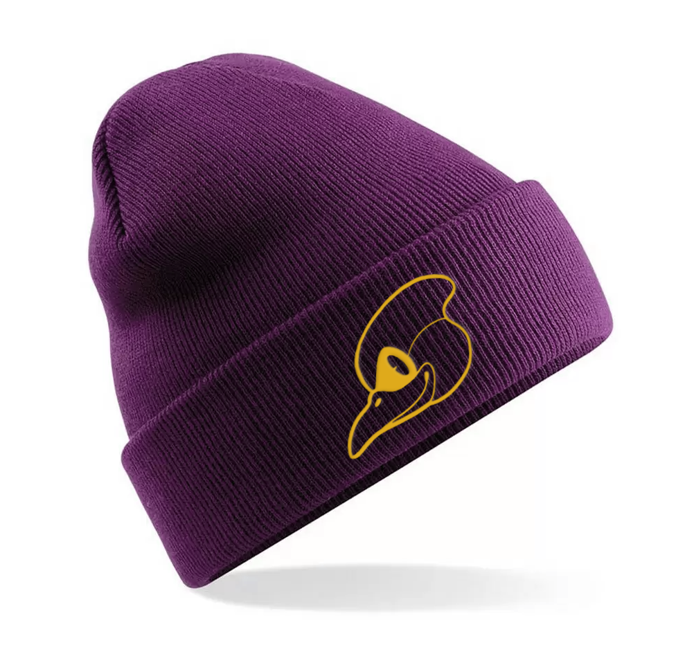 SB737 Beanie