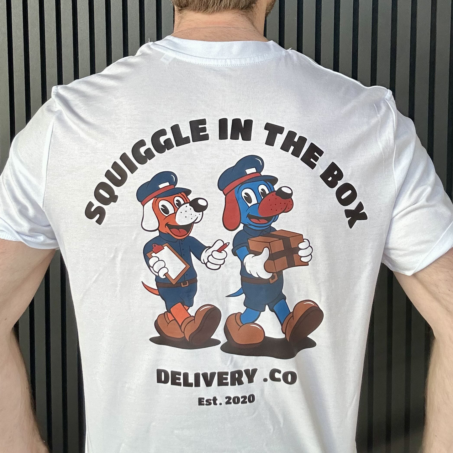 Squiggle in the Box T-Shirt by iBallisticSquid